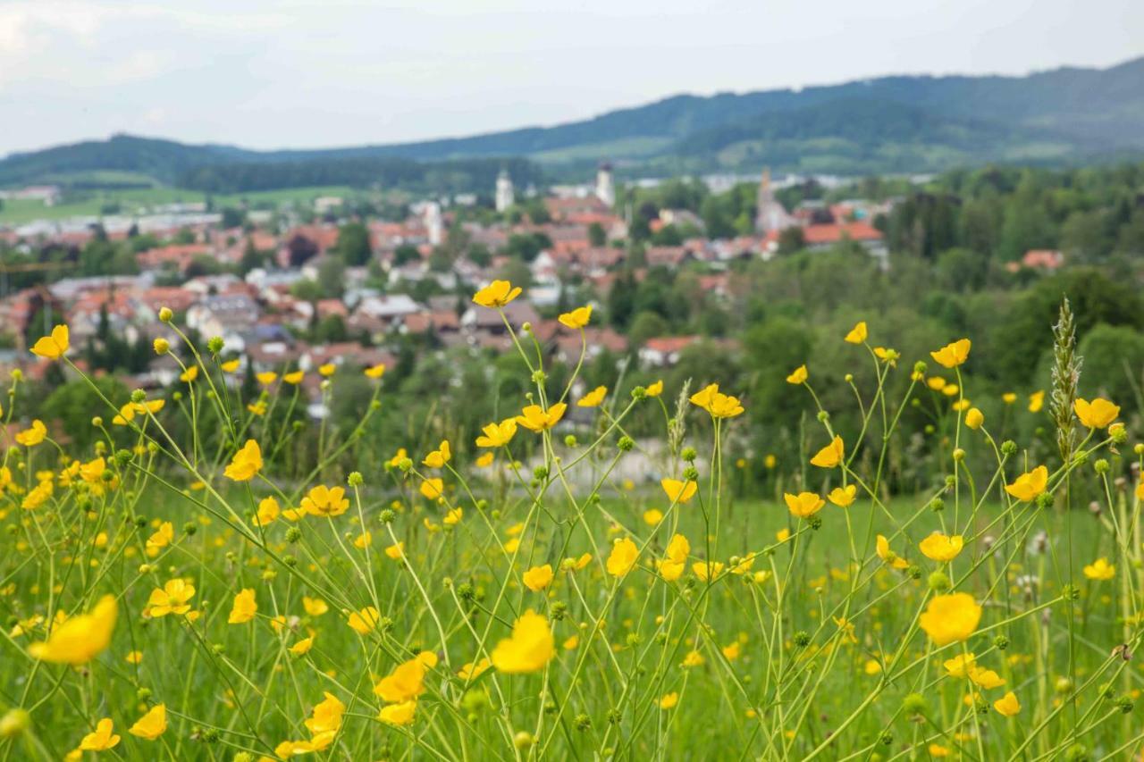 Eistobel Und Felderhalde Apartamento Isny im Allgäu Exterior foto